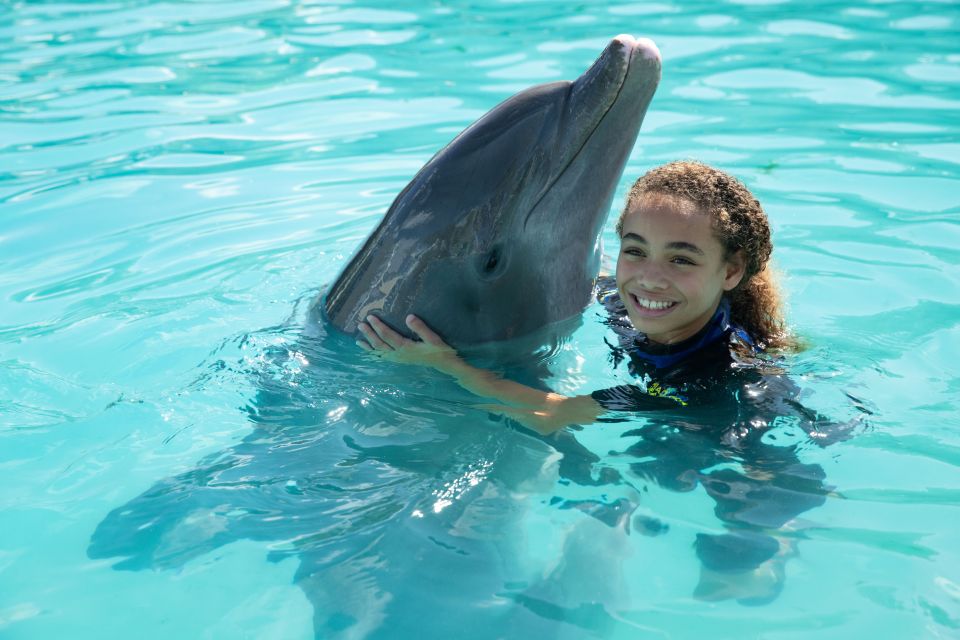 Miami: Swim With Dolphins Experience With Seaquarium Entry - Participant Requirements