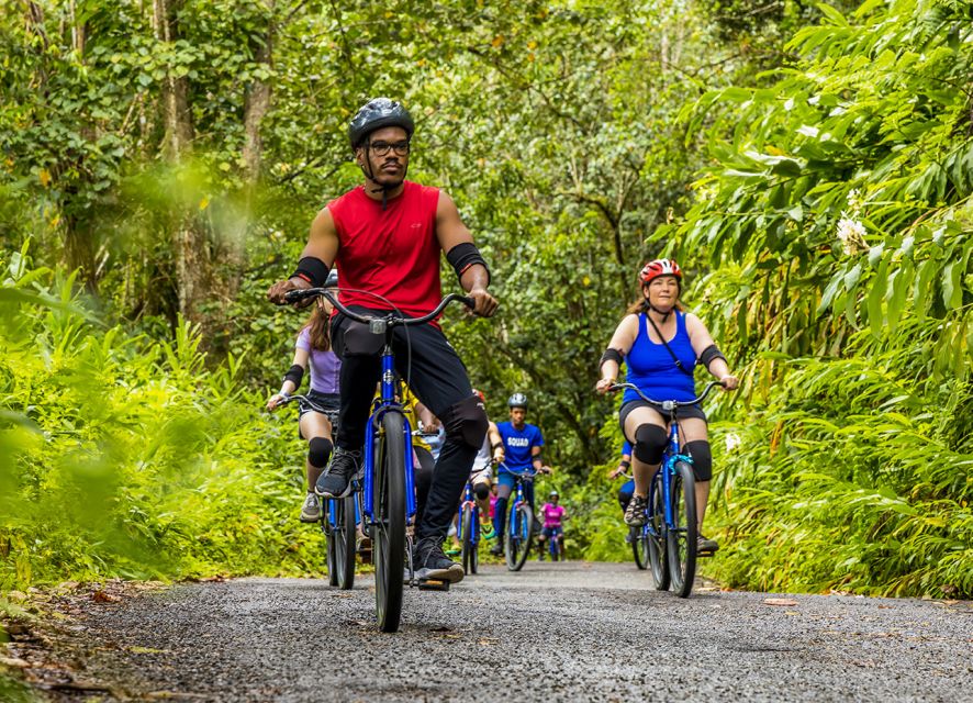 Montego Bay: Blue Mountains Bicycle Tour With Brunch & Lunch - Customer Review