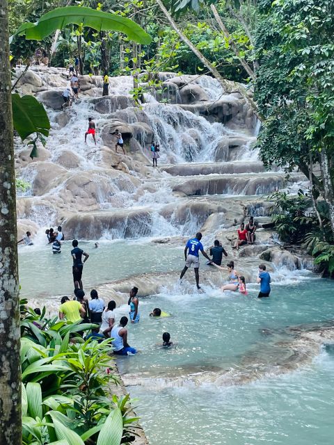 Montego Bay: Private Bob Marley and Dunns River Falls Tour - Highlights