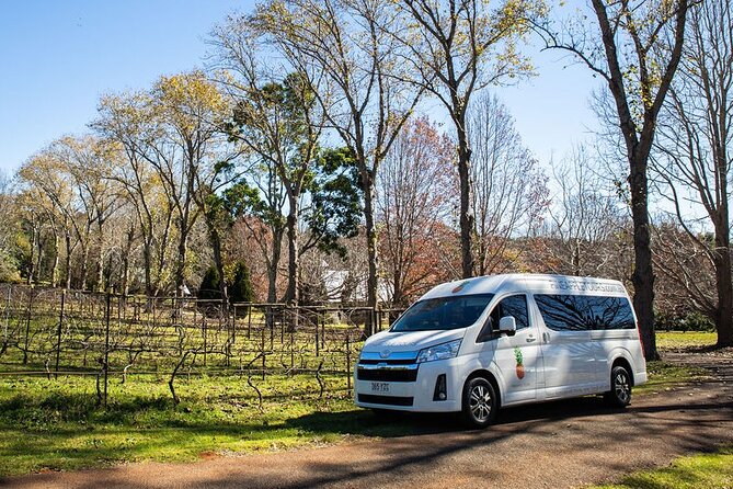 Mt Tamborine Shuttle Service - Return - Scenic Route Highlights