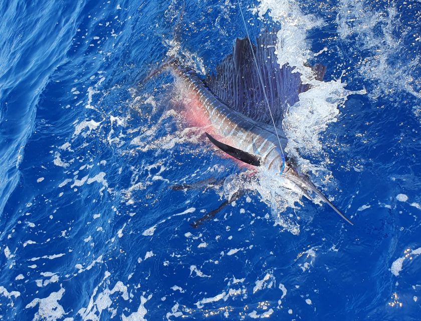 Nassau: Sport-Fishing Private Charter . - Restrictions