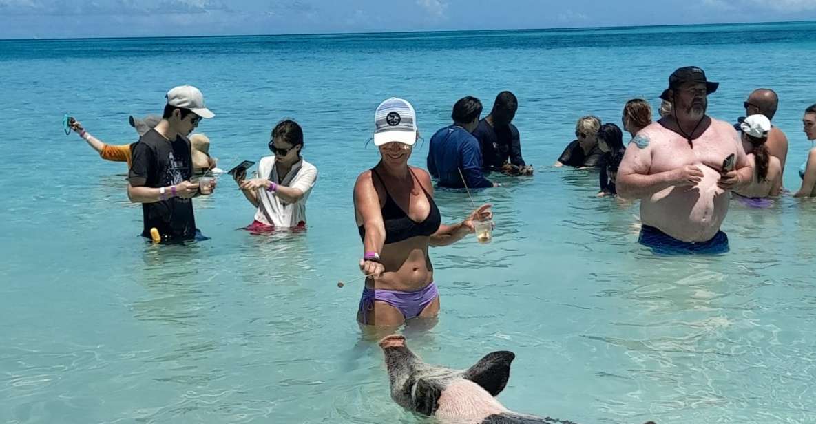Nassau: Swimming With Pigs, Snorkeling, and Sightseeing Tour - Inclusions