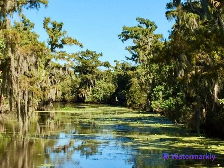 New Orleans: Airboat Swamp & City and Katrina Tour Combo - Inclusions and Booking Information