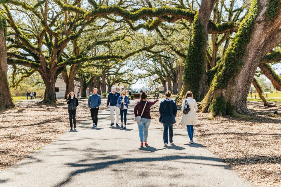 New Orleans: Oak Alley Plantation & Airboat Swamp Combo Tour - Seamless Transfers and Logistics