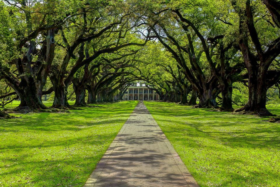 New Orleans: Oak Alley Plantation & Swamp Cruise Day Trip - Sum Up