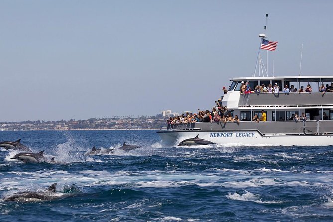 Newport Beach Whale and Dolphin Watching Cruise - Safety Measures