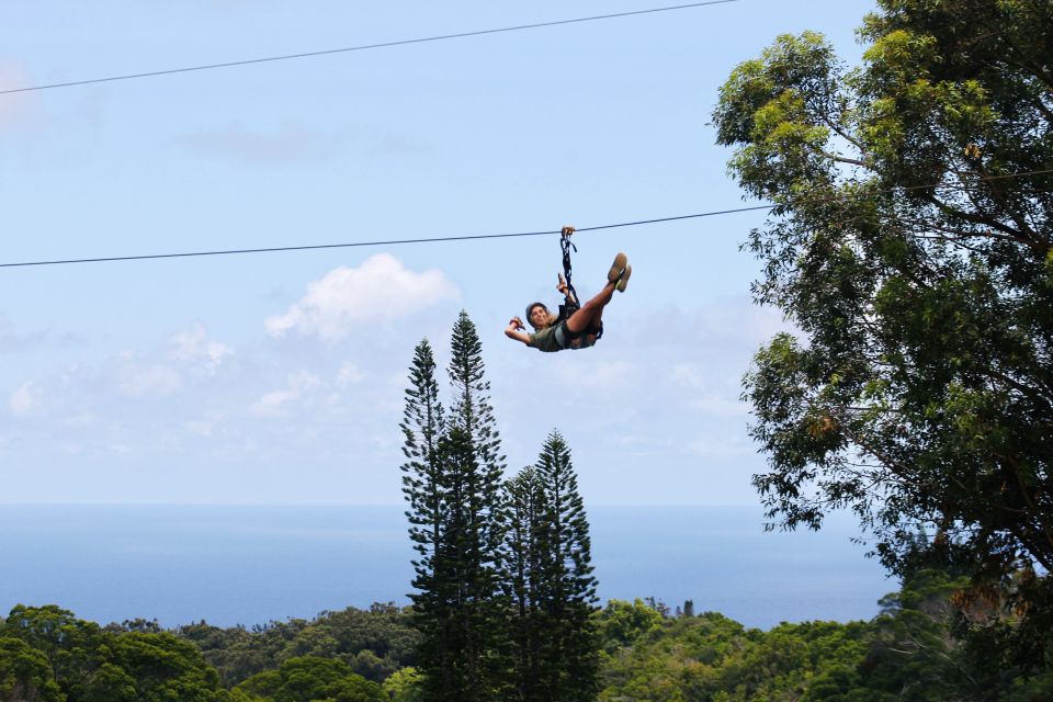 North Maui: 7 Line Zipline Adventure With Ocean Views - Restrictions and Requirements