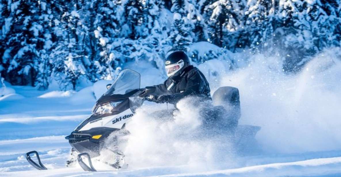 North Pole Alaska: Guided Fairbanks Snowmobile Tour - Activity Details