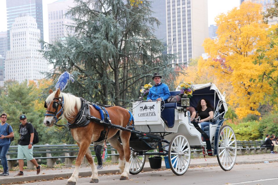 NYC: Guided Standard Central Park Carriage Ride (4 Adults) - Review Summary