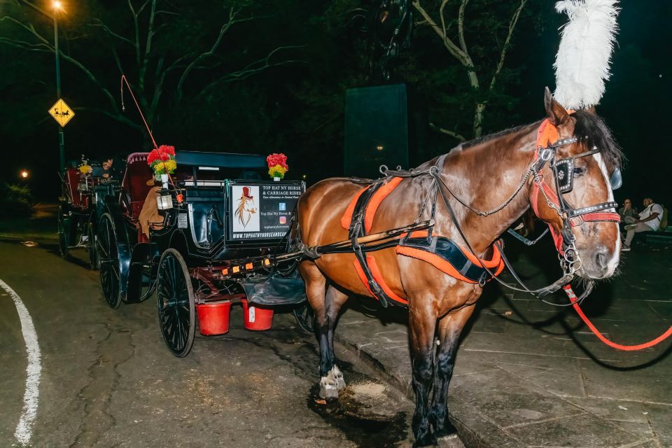 NYC MOONLIGHT HORSE CARRIAGE RIDE Through Central Park - Reviews