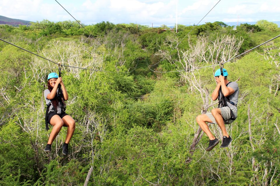 Oahu: 3 Ziplines and Coral Crater Tour With Transfer - Sum Up