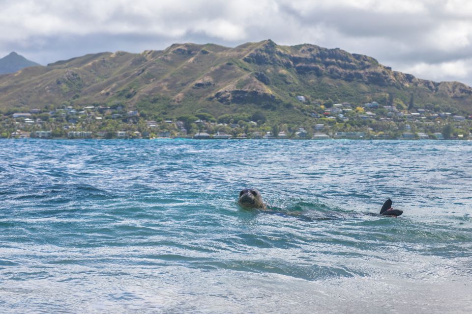 Oahu: Authentic Hawaiian Sailing Adventure to Mokuluas - Customer Reviews