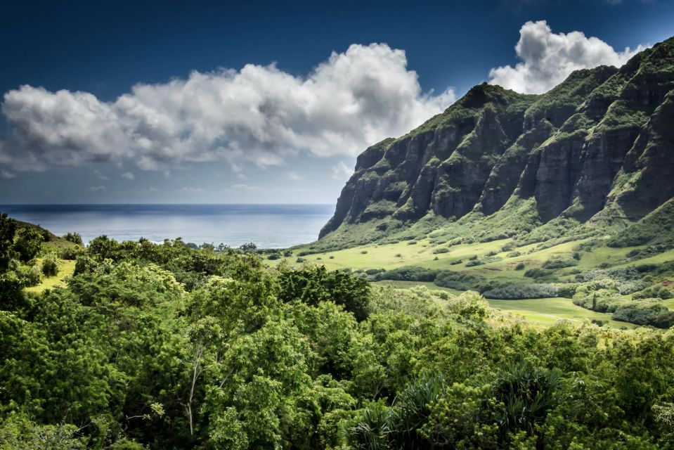 Oahu Hidden Gems & Waimea Botanical Garden/Waterfall Tour - Customer Reviews Insights