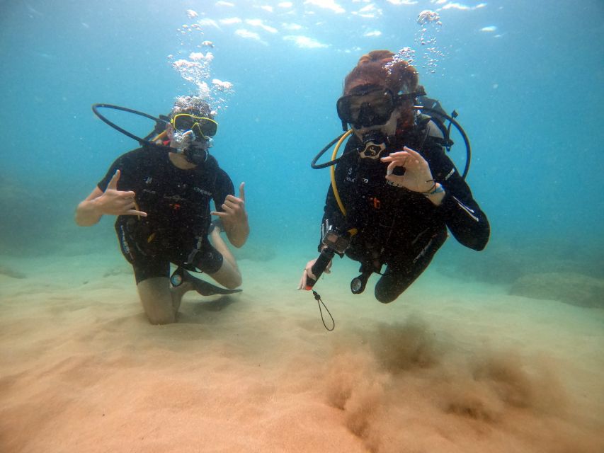 Oahu: Scuba Diving Lesson for Beginners - Meeting Point Instructions
