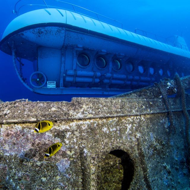 Oahu: Waikiki Submarine Tour - Review Summary