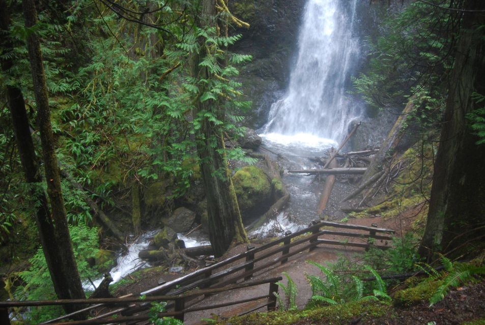 Olympic National Park: Sol Duc and Hurricane Ridge Tour - Tour Highlights
