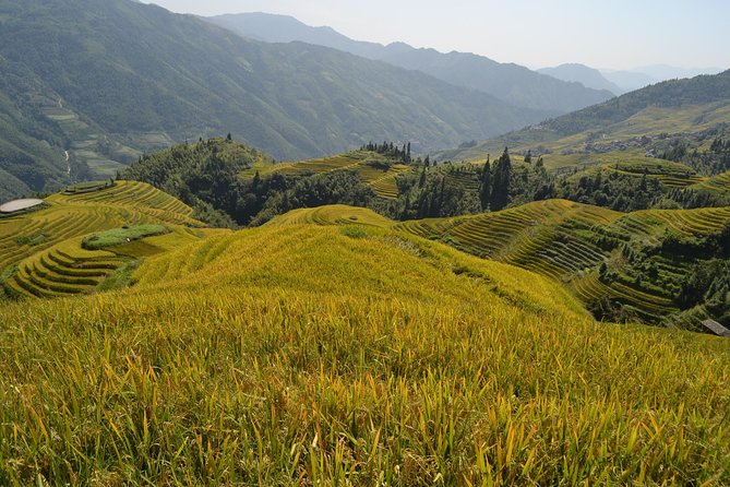 One Day Private Longshen Rice Terraces Tour Including Lunch - Tour Highlights