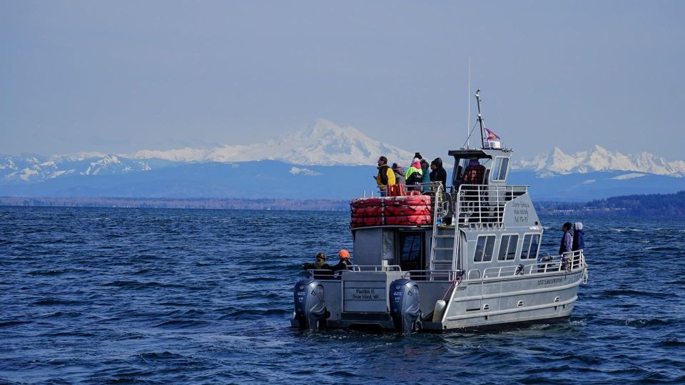 Orca Whales Guaranteed Boat Tour Near Seattle - Booking Information and Meeting Point