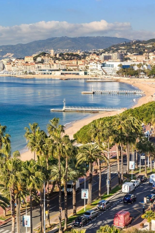 Port of Cannes : Personalized Private Tour - Activity Description