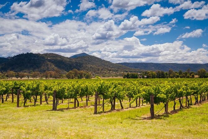 Private Luxury Hunter Valley Tour - up to 7 Guests - Company Background