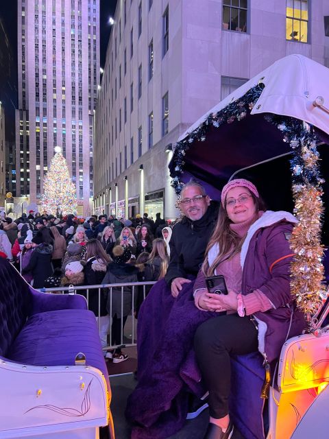 Private NYC Lights or Christmas Lights Horse Carriage Tour - Price