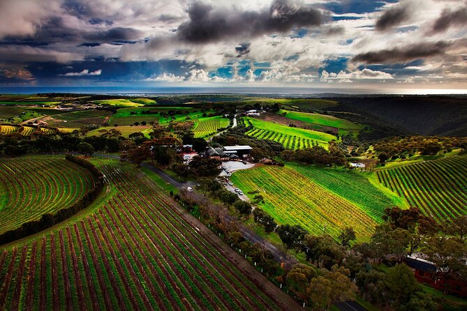 Private Tour of Rojinas Fleurieu in McLaren Vale - Common questions