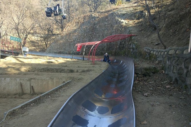 Private Tour to Mutianyu Great Wall Cable Way Up & Toboggan Down - Traveler Experience Insights