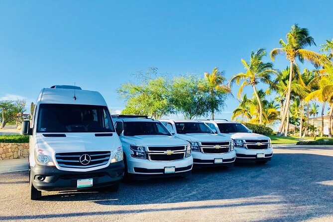 Private Transfer From Darwin Cruise Port to Darwin Airport (Drw) - Service Details and Amenities