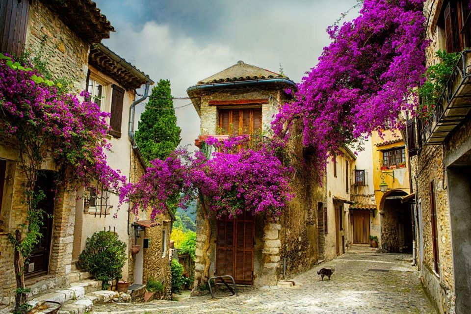 Provence & Its Medieval Villages Full Day Sightseeing Tour - Inclusions