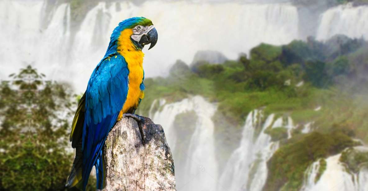 Puerto Iguazu: Iguaza Falls Brazilian Side & Bird Park Tour - Pricing and Reservations