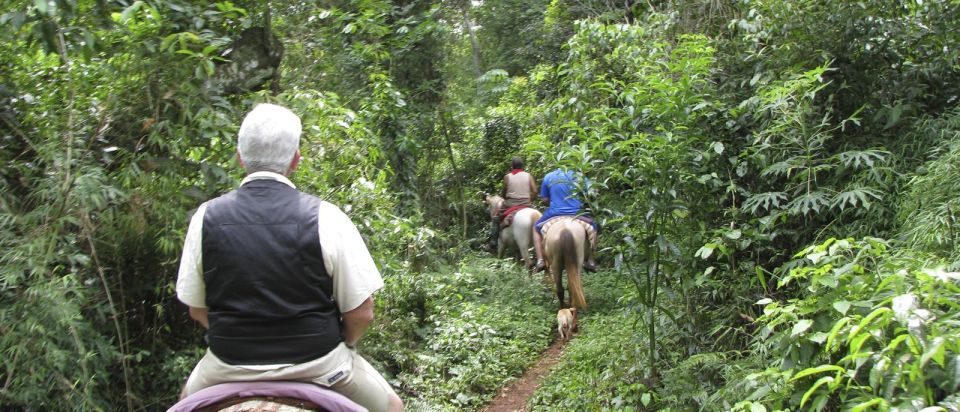 Puerto Iguazu: Jungle Horseback Ride With Guaraní Community - Pickup Details