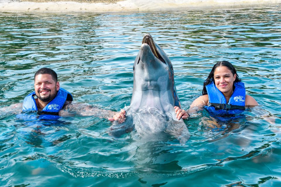 Puerto Plata: Ocean World Adventure Park Swim With Dolphins - Accessibility and Experience Highlights