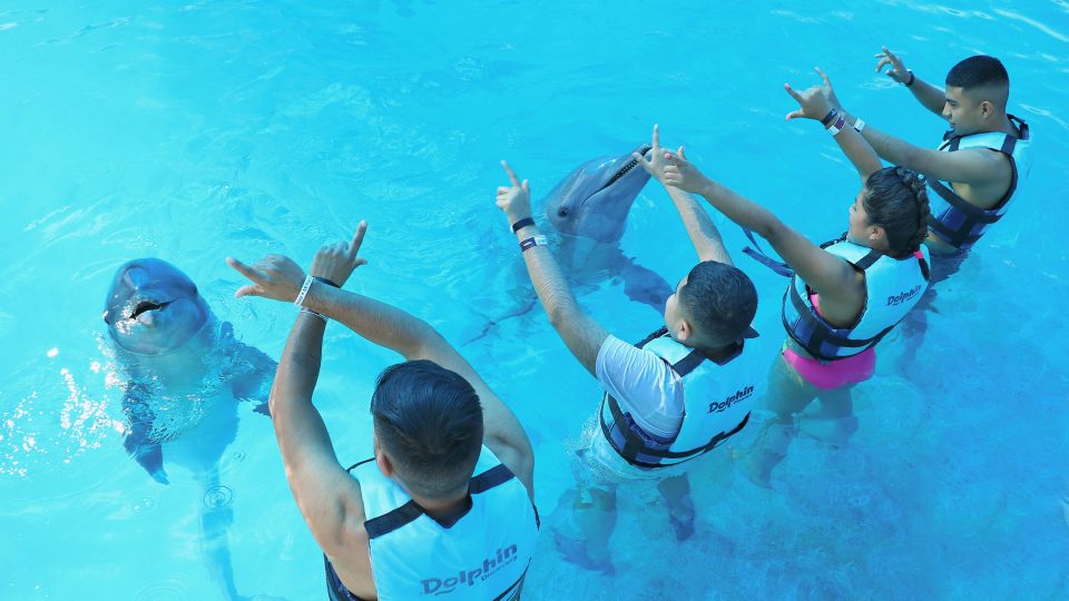 Punta Cana: Dolphin Discovery Swims and Encounters - Inclusions and Facilities