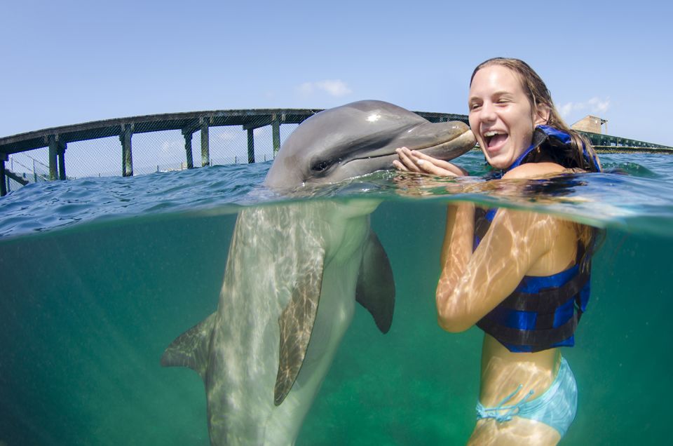 Punta Cana: Dolphin Explorer Swims and Interactions - Restrictions
