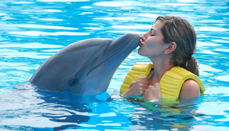 Punta Cana: Swim With Dolphins in the Pool - Booking Information