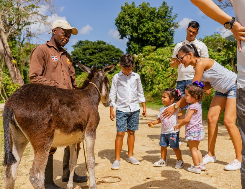 Punta Cana: Zipline, Chairlift, Buggy & Horse Ride Adventure - Inclusions and Amenities Provided