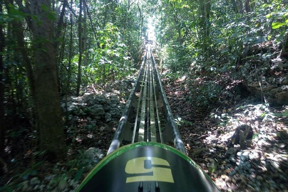 Rainforest Bobsled Mystic Mountain Tour Fr Montego Bay - Itinerary Highlights