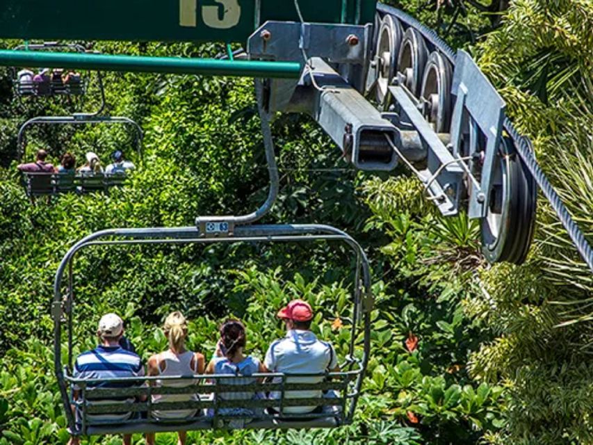 Rainforest Sky Explorer Mystic Mountain Tour Fr Montego Bay - Pickup Details and Private Group Experience