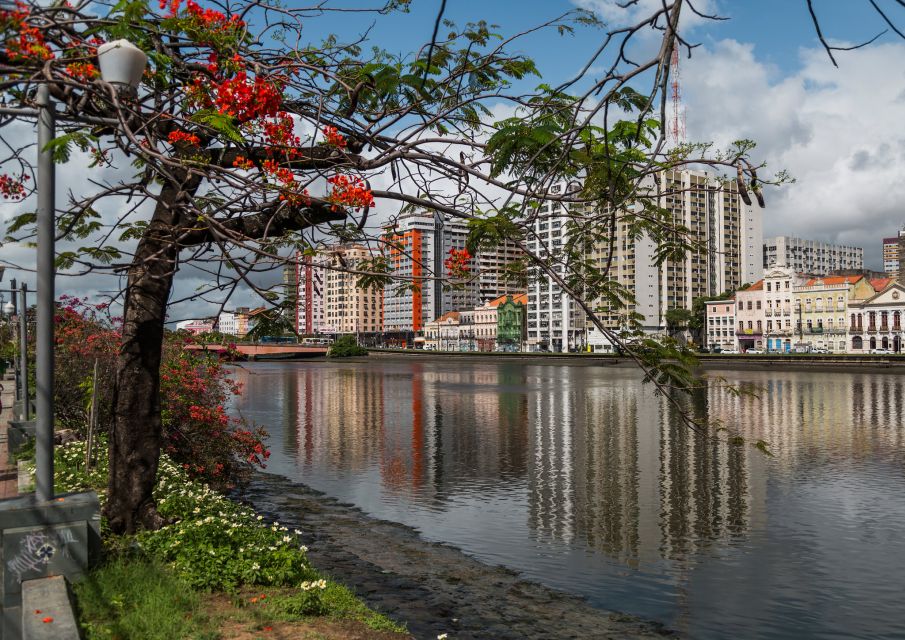 Recife: City Tour Recife & Olinda - Customer Review