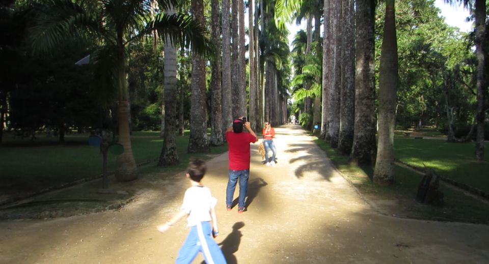 Rio: Botanical Garden, Tijuca Forest, and Parque Lage Tour - Review Summary