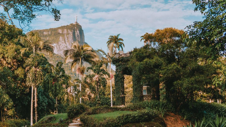 Rio De Janeiro: 4-Hour Botanical Garden & Tijuca Forest Tour - Tour Experience and Nature Exploration