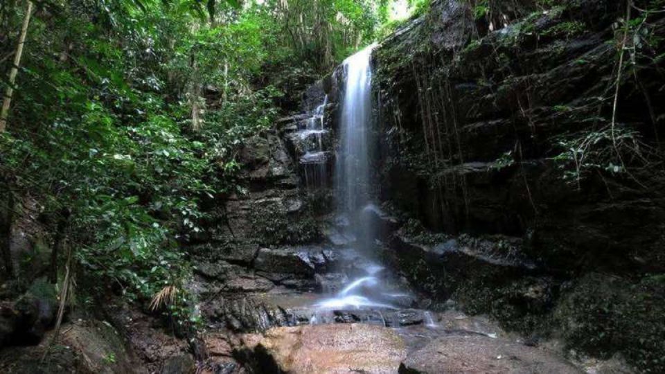 Rio De Janeiro: Tijuca National Park Ecotour - Tijuca National Park Overview