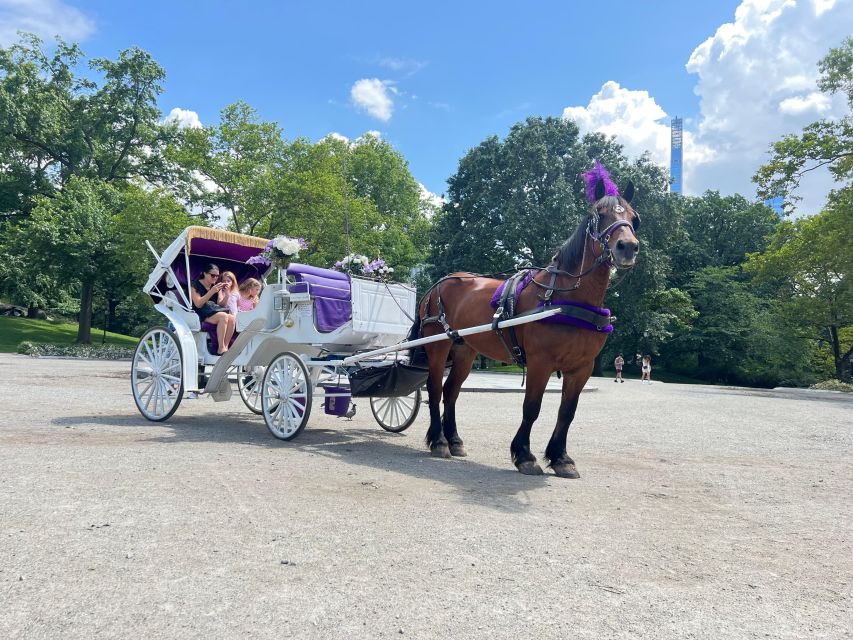 Royal Carriage Ride in Central Park NYC - Experience Description
