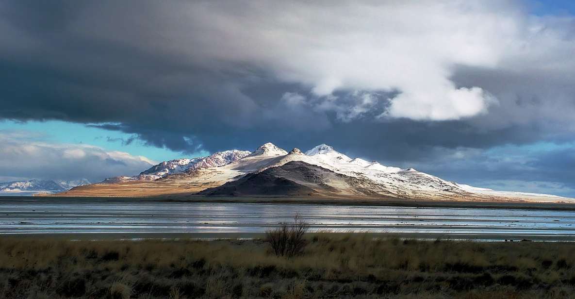 Salt Lake City: Great Salt Lake Antelope Island Guided Tour - Customer Reviews and Feedback