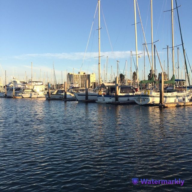 San Diego: Half-Day Marine Wildlife Tour With Lunch - Location Details