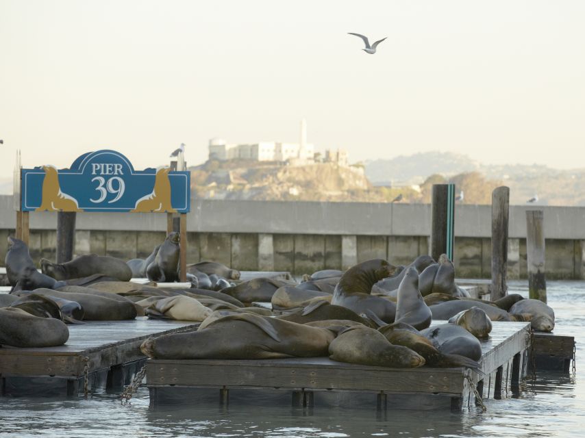 San Francisco CityPASS®: Save 46% at 4 Top Attractions - Customer Reviews