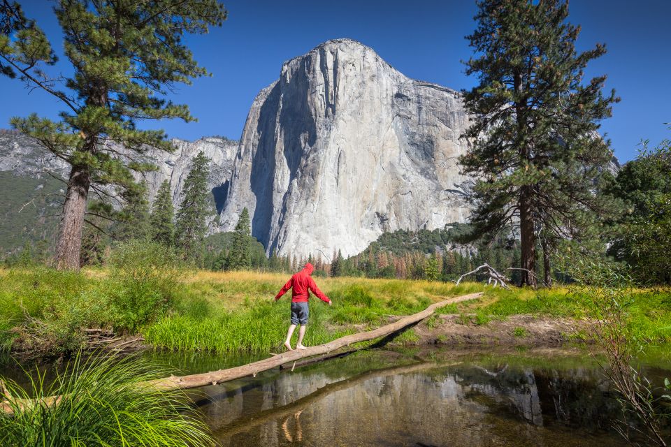 San Francisco To/From Yosemite National Park: 1-Way Transfer - Inclusions