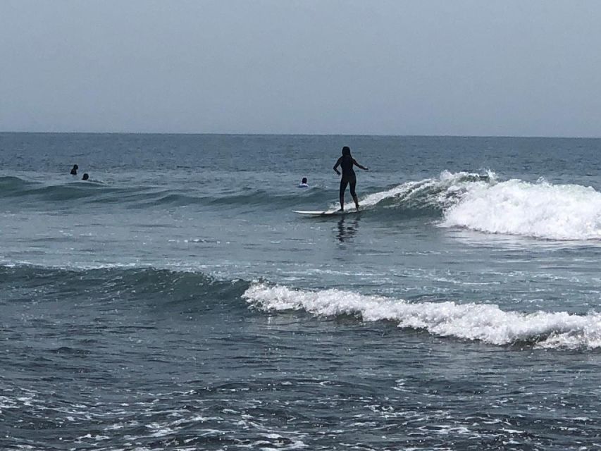 Santa Monica: Surfing Day Trip With Lunch - Activity Highlights