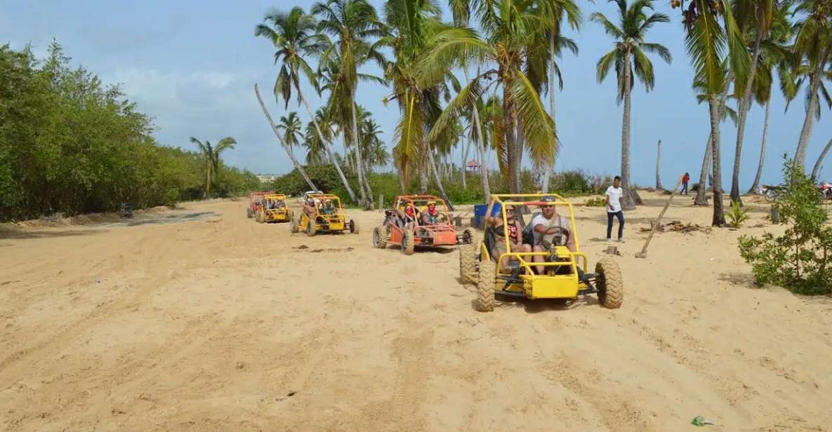 Santo Domingo: Buggy Adventure Macao With Cenote & Beach - Key Points