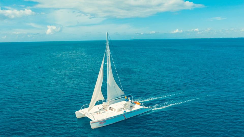 Saona Island Tour: Catamaran & Speedboat - All Inclusive - Inclusions